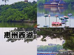 -合江楼