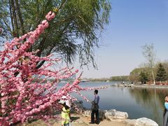 -大兴滨河森林公园