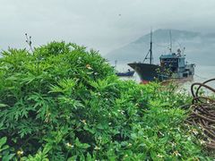 -北岐滩涂