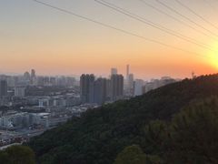 -仙岳公园