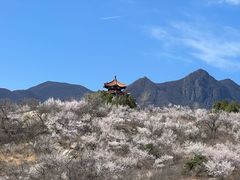 -白水寺森林公园