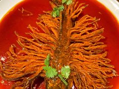 -丹江渔村(望京店)