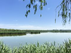 -野鸭湖国家湿地公园