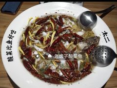 -太二酸菜鱼(福州泰禾店)