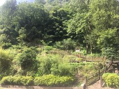 -云山屯古建筑群景区