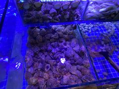 -渔民船说·北塘海鲜·天津菜·海肠捞饭(北塘古镇店)