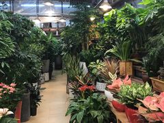 -双季花艺园艺市场(浦东店)