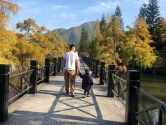 景点-田野绿世界