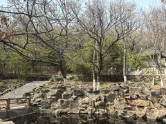 -石老人观光园