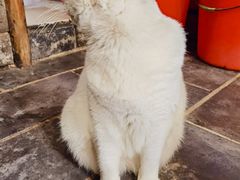 -张记牛肉面馆(天津路店)