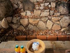 -有马温泉 竹取亭円山温泉旅馆