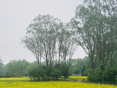 -北坞公园
