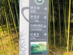 -都江堰中华大熊猫苑