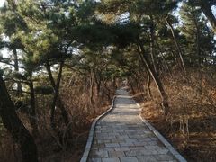 -燕窝岭