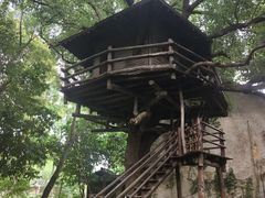 -乌村