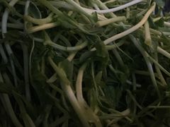 豆苗-哥老官重庆美蛙鱼头(宝山龙湖店)
