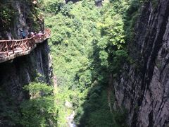 -鹿院坪生态旅游景区