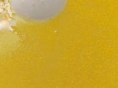 棒渣粥-胖子菜馆(隆昌路店)