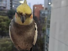 -雨林宠物医院 非犬猫异宠专科