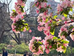 -元大都城垣遗址公园