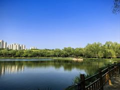 -燕郊植物园