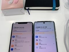 -荣耀授权专卖店(黄浦浙江中路店)