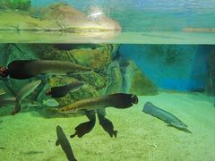 -福州罗源湾海洋世界旅游区