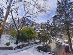 -秦岭终南山世界地质公园翠华山景区