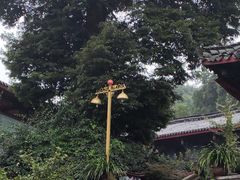 -峨眉山报国寺
