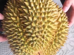 -沈阳市八家子水果批发市场