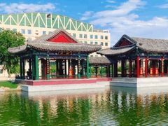-东北农业大学