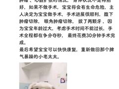 -特一安24小时宠物医院·骨科·中兽医