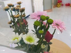 -靓芙泉专研痘痘肌