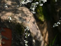 -中国茶叶博物馆(双峰馆区)