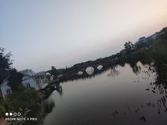 -大塘金香草谷