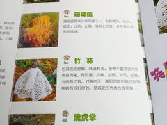 菜单-太婆天府山珍酒楼(亚运村店)