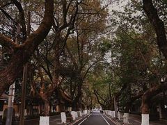 -颐和路民国时期公馆风貌区