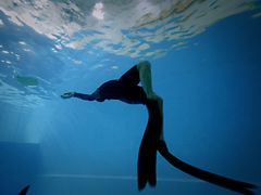 -上海潜殿潜水中心