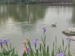 -海珠湖公园