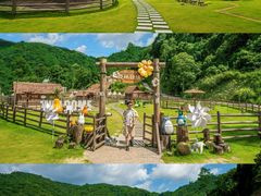 -龙岩森林水乡景区