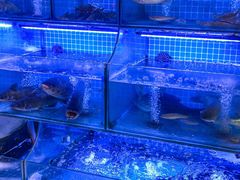 -有藕有鱼·湖北菜(唐家墩店)