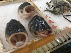 -联邦酒楼