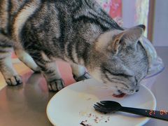 -藏猫猫咖啡主题馆(中央大道店)