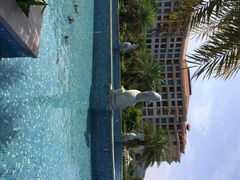 金海湾嘉华度假酒店-惠州金海湾嘉华度假酒店