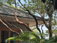 -Chom Cafe and Restaurant
