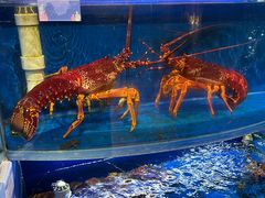 -香宫中餐厅·大连香格里拉(人民路店)