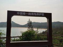 -广东惠东海龟国家级自然保护区