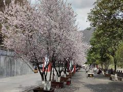 -汉中石门栈道风景区