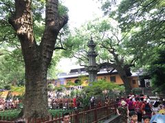 -普陀山风景名胜区-法雨禅寺