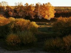 -塞罕坝国家级自然保护区